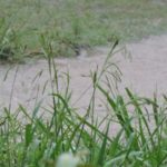 Cayeron 32 milímetros en la ciudad