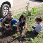 Se plantaron 20 frutales en la Ctda Hermanas Weimüller 2