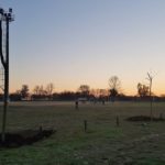 Trebolense trabaja en la forestación de su nuevo predio
