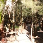 Primavera 2017 en Vivero Rosso 2