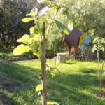 Primavera 2017 en Vivero Rosso 7