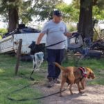 La Brigada Canina busca rastros de Robledo en Sastre