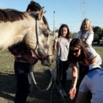 Equinoterapia comenzó con una gran jornada familiar
