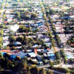 Se plantaron casi 300 árboles en la ciudad