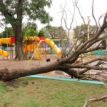 Fuerte tormenta en la ciudad 2