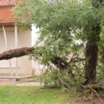 Fuerte tormenta en la ciudad 3