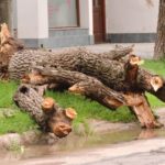 Fuerte tormenta en la ciudad 4