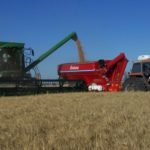 La cosecha de trigo comenzó con rindes dispares
