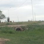 El Concejal López pide iluminación y señalización en Juan XXIII y Ruta 13 1