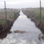 La Provincia inició causas judiciales por canales clandestinos