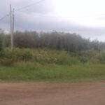Piden por desmalezado de terrenos en calle Breuning