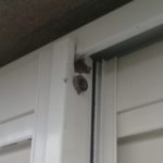 Robaron en una vivienda de calle Córdoba al 1400 3